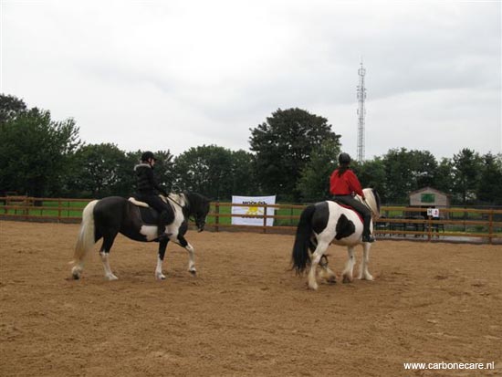 carbonecarebinckhorst 141